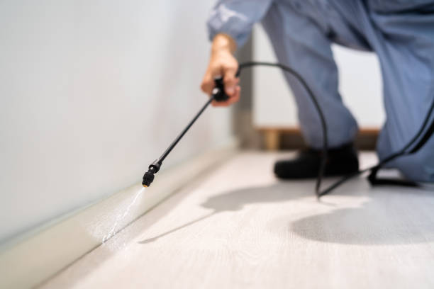 Licensed Cockroach Control service in Williamsville, IL - Nex Pest Control