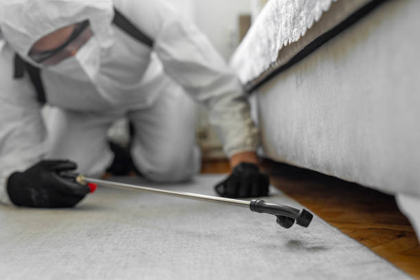 Professional Cockroach Control technician working in Williamsville, IL