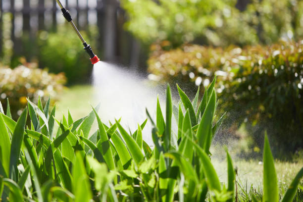 24/7 Emergency Cockroach Control experts in Williamsville, IL