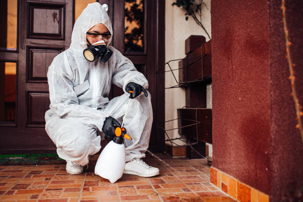 Reliable Cockroach Control contractor in Williamsville, IL by Nex Pest Control