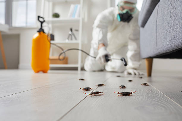 Affordable Cockroach Control solutions in Williamsville, IL